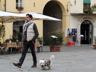 Lucca - X