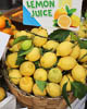Mediterranean 2021 Amalfi - LXIV