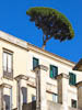 Mediterranean 2021 Amalfi - LXXXI