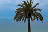 Mein Schiff 6 - Mediterranean 2022 Ajaccio - XIII