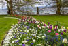 Trachtentag Insel Mainau - LXVI