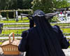 Trachtentag Insel Mainau - LXXXI