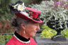 Isle of Mainau (Schlossfest 2016) - IX