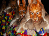 Fasnacht Konstanz 2015 - XV