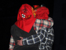 Fasnacht Konstanz 2015 - XXXIV