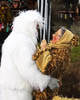 Fastnacht Reichenau 2019 - LVI