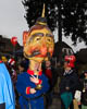 Fastnacht Reichenau 2019 - LXIX