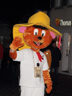 Fasnacht Konstanz 2016 - I