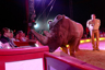 Circus Krone 2016 - XCII
