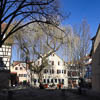 Tübingen Winter 2021 - VI