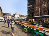 Freiburg Spring 2021 - XX