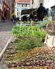 Freiburg Spring 2021 - XXII