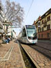 Freiburg Spring 2021 - XXXII
