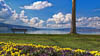 Reichenau Spring 2021 - V