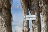 Reichenau Spring 2021 - IX