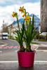 Konstanz Spring 2021 - CI