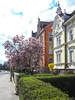 Konstanz Spring 2021 - CVII