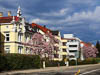 Konstanz Spring 2021 - CVIII