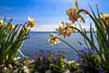 Meersburg Spring 2021 - V