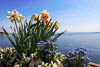Meersburg Spring 2021 - VI