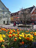 Meersburg Spring 2021 - XIV