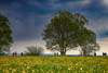 Kreuzlingen Seeburg Spring 2021 - CI