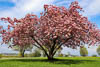 Kreuzlingen Seeburg Spring 2021 - CVIII