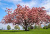 Kreuzlingen Seeburg Spring 2021 - CIX