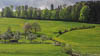 Sankt Gallen Spring 2021 - II