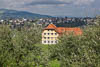 Sankt Gallen Spring 2021 - III