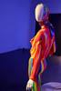 MACMuseum 2021 Versace - XXVI