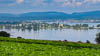 Sommer 2023 Ermatingen - C