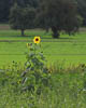 Sommer 2023 Ermatingen - CII