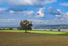 Sommer 2023 Ermatingen - CIII