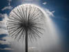 Sommer 2023 Romanshorn - CXXV