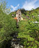 Trachtenumzug Triberg - LV