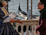 Venice - XCI