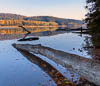 Mindelsee - III