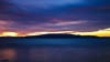 Insel Reichenau Januar 2020 - III
