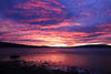 Insel Reichenau Januar 2020 - IV