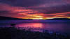 Insel Reichenau Januar 2020 - VI