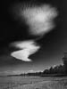 Lake Constance in times of Corona - IV