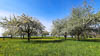 Lake Constance in times of Corona - XVII