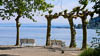 Mainau in times of Corona III - DXIII