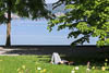 Mainau in times of Corona III - DXIX