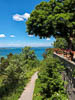 Untersee TG Corona V - MXLIX