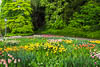Insel Mainau Mai 2022 - IV