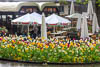 Insel Mainau Mai 2022 - X