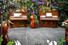 Insel Mainau Mai 2022 - XIX