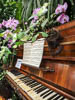 Insel Mainau Mai 2022 - XXXI